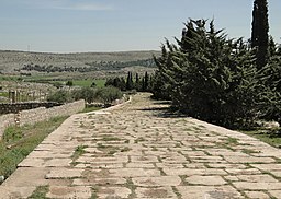 Ancient Roman road of Tall Aqibrin